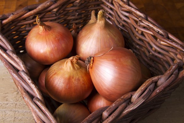 Kraken рабочее зеркало onion