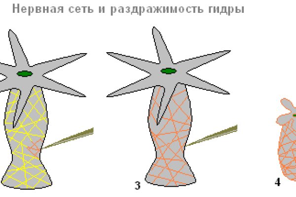 Кракен перейти