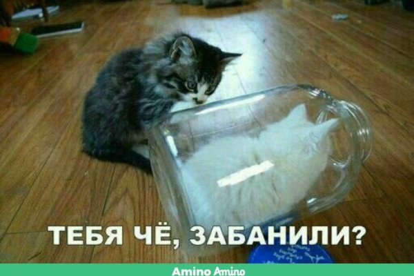 Сайт кракен через тор