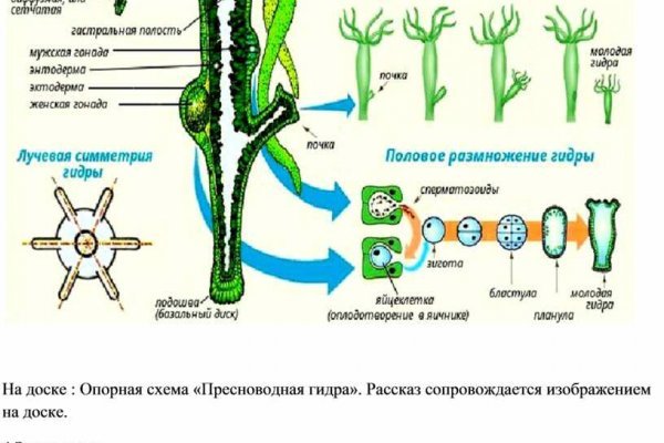 Кракен маркет что это