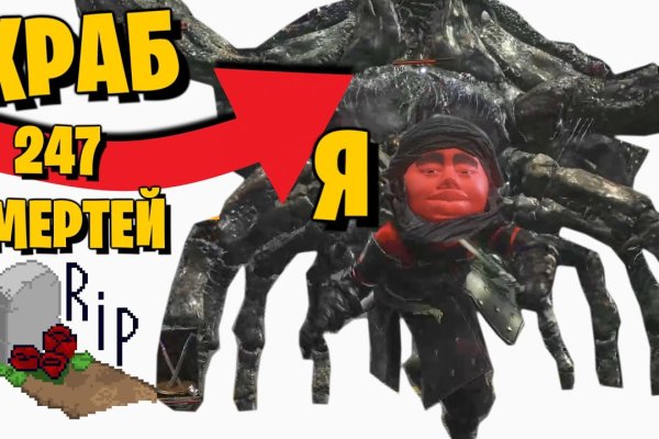 Kraken 19 at