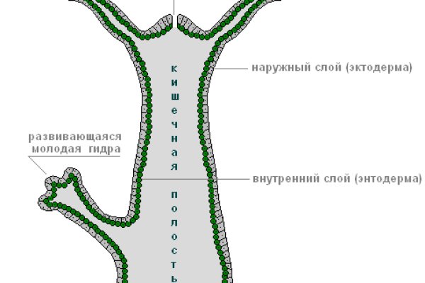 Что такое кракен площадка