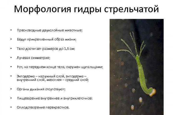 Ссылки для tor