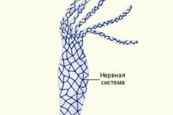 Кракен маркетплейс kr2web in площадка